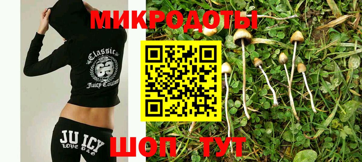 Нурлат  Псилоцибиновые грибы прущие грибы  Псилоцибиновые грибы мицелий  Вход с VPN 
