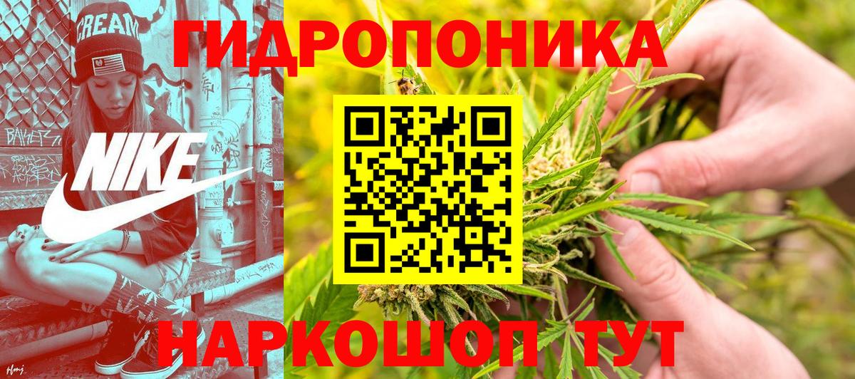 Шишки марихуана OG Kush Нурлат